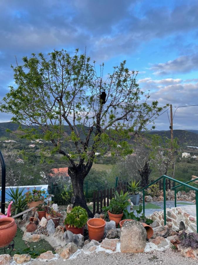 Salir Monte Carrascal Guesthouse מראה חיצוני תמונה